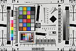 Click to see D3XhMULTI0800.JPG