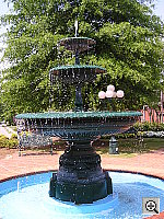 Click to see YP4290004.JPG