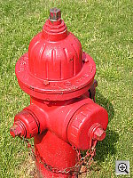 Click to see YP4290012.JPG