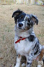 Click to see ZZ1CHARLOTTE1.JPG