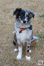 Click to see ZZ1CHARLOTTE2.JPG