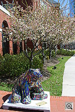 Click to see ZZ3BEAR2A.JPG