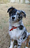 Click to see ZZ1CHARLOTTE1.JPG