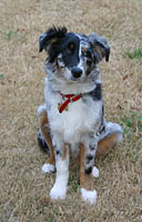 Click to see ZZ1CHARLOTTE2.JPG