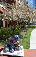 Click to see ZZ3BEAR2A.JPG