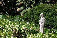 Click to see ZZ3GARDEN1.JPG