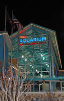 Click to see ZZ4AQUARIUM1.JPG
