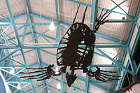 Click to see ZZ4BONES2.JPG