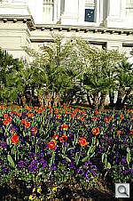 Click to see YDSC_1964.jpg