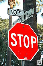 Click to see YDSC_1993.jpg