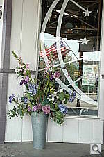 Click to see YDSC_2036.jpg