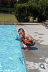 Click to see YDSC_0161.JPG