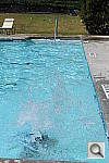 Click to see YDSC_0175.JPG