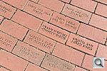 Click to see YDSC_0205.JPG