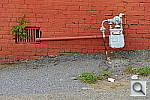 Click to see YDSC_0252.JPG