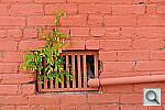 Click to see YDSC_0254.JPG
