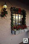 Click to see YDSC_2308.JPG