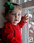 Click to see YDSC_2543p.jpg