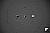 Click to see D7000FL13T.JPG