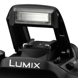 Panasonic DMC-G2 Pop-up Flash