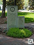 Click to see YP1020044.JPG