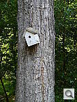 Click to see YP1020063.JPG