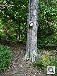 Click to see YP1020064.JPG