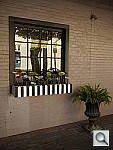 Click to see YP1020078.JPG