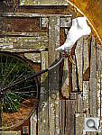 Click to see YP1020110.JPG