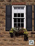 Click to see YP1010395.JPG