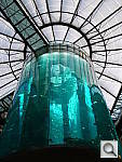 Click to see Y_PROTOTYPE_P1040381.JPG