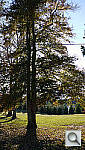Click to see YP1030133.JPG