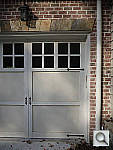 Click to see YP1030491.jpg