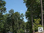 Click to see DMCGF3PINE_SPu250r0.JPG