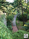 Click to see YP1010383.JPG