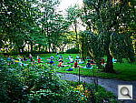 Click to see YP1010419.JPG