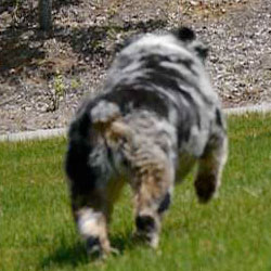 Lumix GH2 video - autofocus tracking example 3