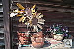 Click to see YSDIM0020.JPG