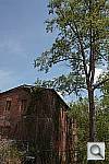 Click to see YYSDIM0019.JPG