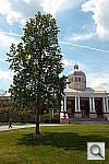 Click to see YYSDIM0110C.JPG