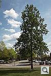 Click to see YYSDIM0120.JPG