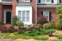 Click to see D35FARDT4.JPG