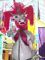 Click to see Y100_0343.JPG