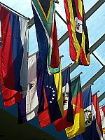 Click to see Y100_0352.JPG