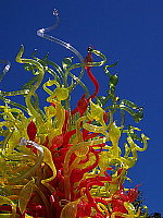 Click to see Y100_0355.JPG