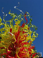 Click to see Y100_0065.JPG