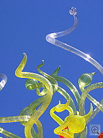 Click to see Y100_0066.JPG