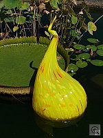 Click to see Y100_0069.JPG