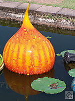 Click to see Y100_0070.JPG