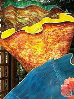 Click to see Y100_0086.JPG